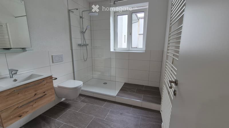Modern bathroom with a wooden vanity, sink, mirror, toilet, glass-enclosed shower, and radiator.