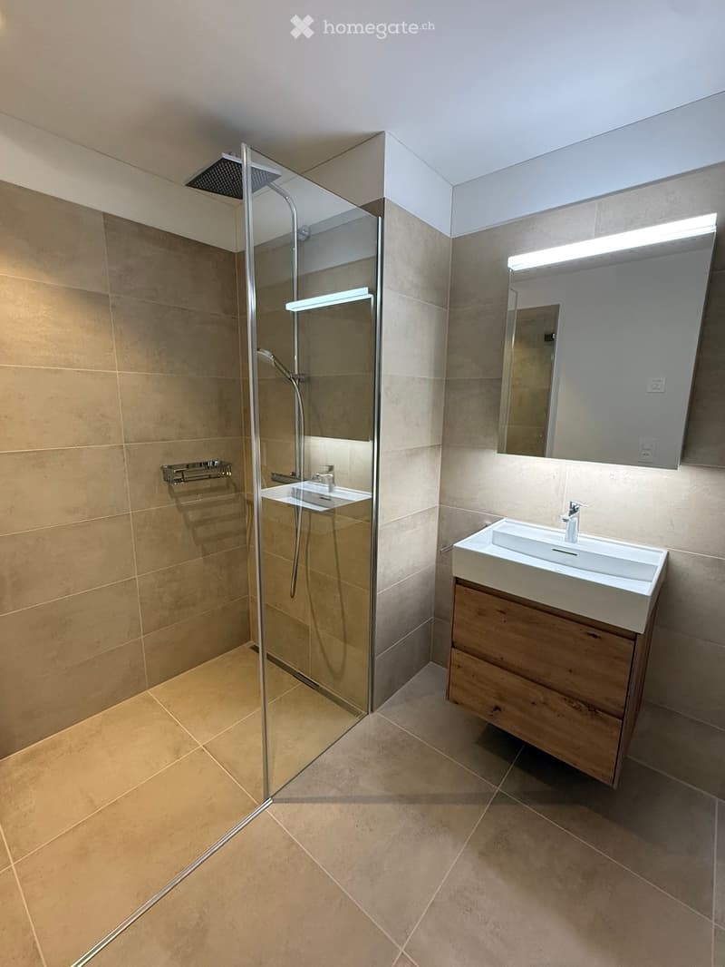 Modern bathroom with a glass-enclosed shower, a single sink with a wooden cabinet, and a large mirror with built-in lighting.