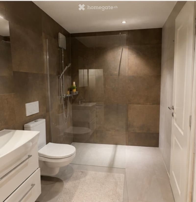 Modern bathroom with dark brown tiles, white fixtures, glass-enclosed shower, and a small shelf holding toiletries.
