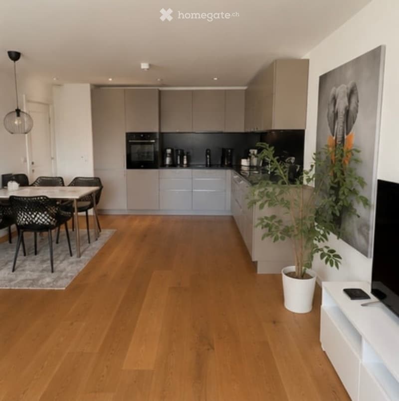 Open-plan kitchen and dining area with light grey cabinets, a central dining table with four black chairs, and a potted plant near the kitchen island.