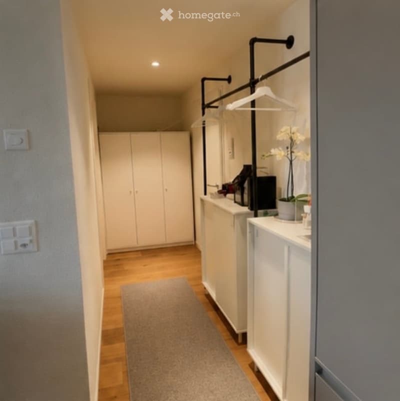 A modern hallway with white built-in wardrobes, a coat rack, a small table with a plant, and a gray rug on a wooden floor.