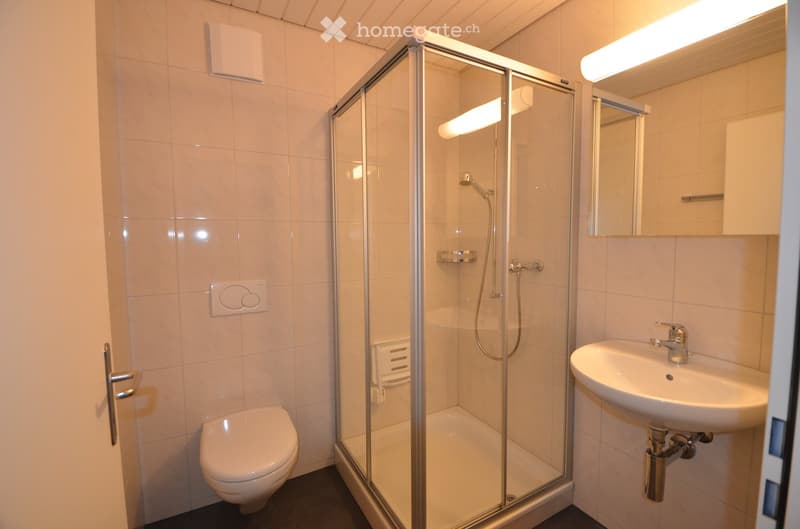 Modern bathroom with white tiles, a glass-enclosed shower, a toilet, a sink, and a mirror.