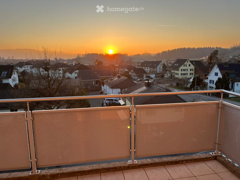 Balcony with metal railing and privacy screens, overlooking a residential neighborhood at sunset.