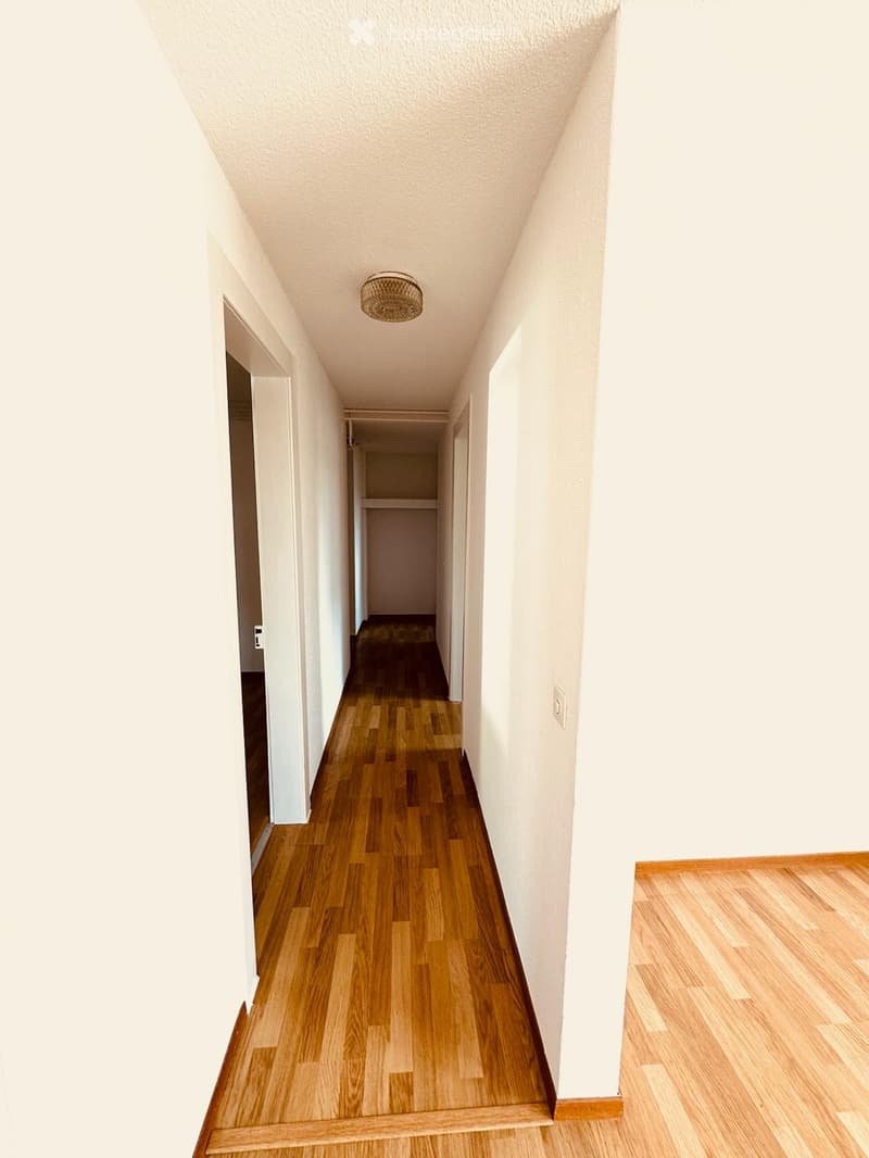 A long, narrow hallway with light wooden flooring and white walls, featuring a ceiling light fixture and a small closet at the end.
