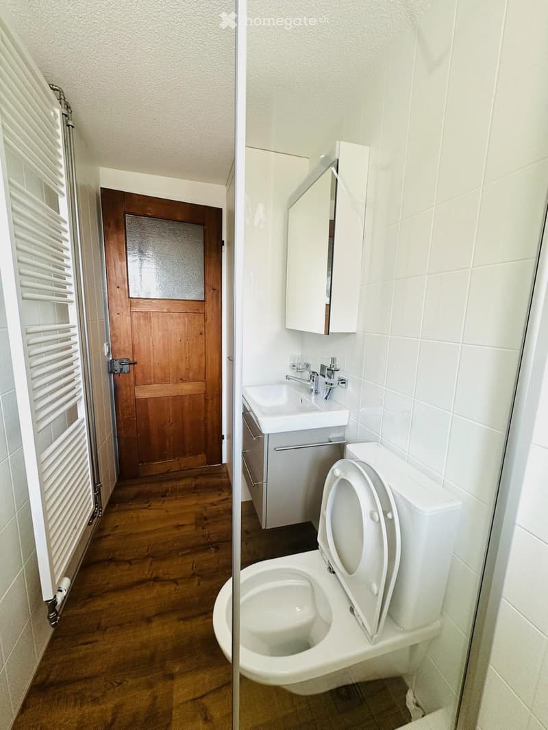 Modern bathroom with white tiles, a toilet, a sink with a faucet, and a small cabinet. The adjacent hallway features wooden flooring and a white radiator.