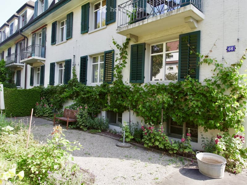 Courtyard with gravel ground, wooden bench, climbing vines, flowers, and a metal bucket.