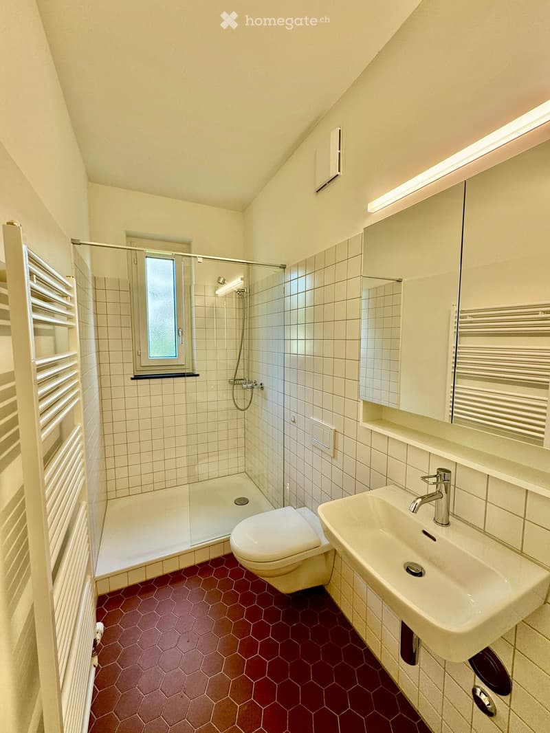 Modern bathroom with hexagonal red tiles, white tiled walls, a glass-enclosed shower, a toilet, a sink with a mirror, and a radiator.