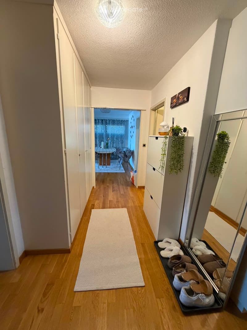 A narrow hallway with wooden flooring, white walls, and a large mirror on the right side. Shoes are placed on a shelf next to the mirror, and a small plant is visible on top of a cabinet. A doorway at the end leads to another room.