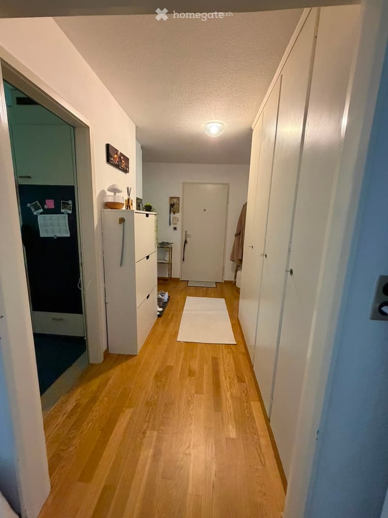 A narrow hallway with wooden flooring, white walls, and a ceiling light. A white rug is placed in the center, and a small cabinet with drawers is visible on the left side.
