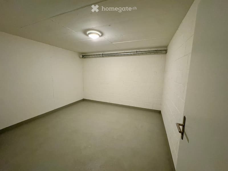 Empty room with white walls, gray floor, and a ceiling light