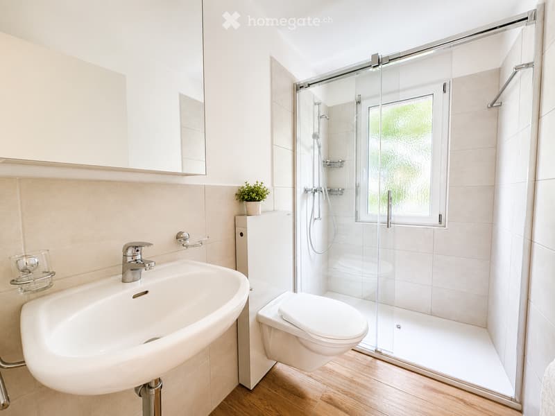 Modern bathroom with a white sink, chrome faucet, toilet, glass-enclosed shower, and a small potted plant on the cabinet.