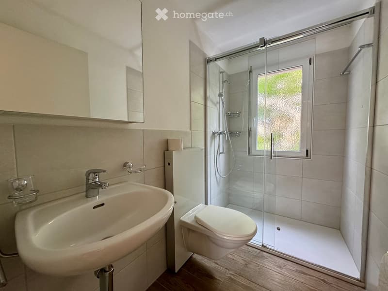 modern bathroom with white tiles, glass shower, white sink, white toilet, mirror, wooden floor
