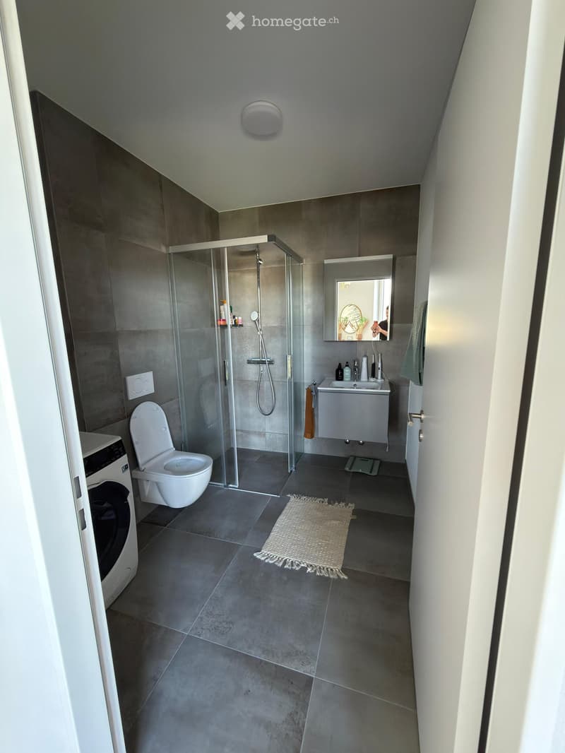 Modern bathroom with grey tiles, a glass-enclosed shower, a white toilet, a sink with a mirror, a towel, and a washing machine visible in the background.