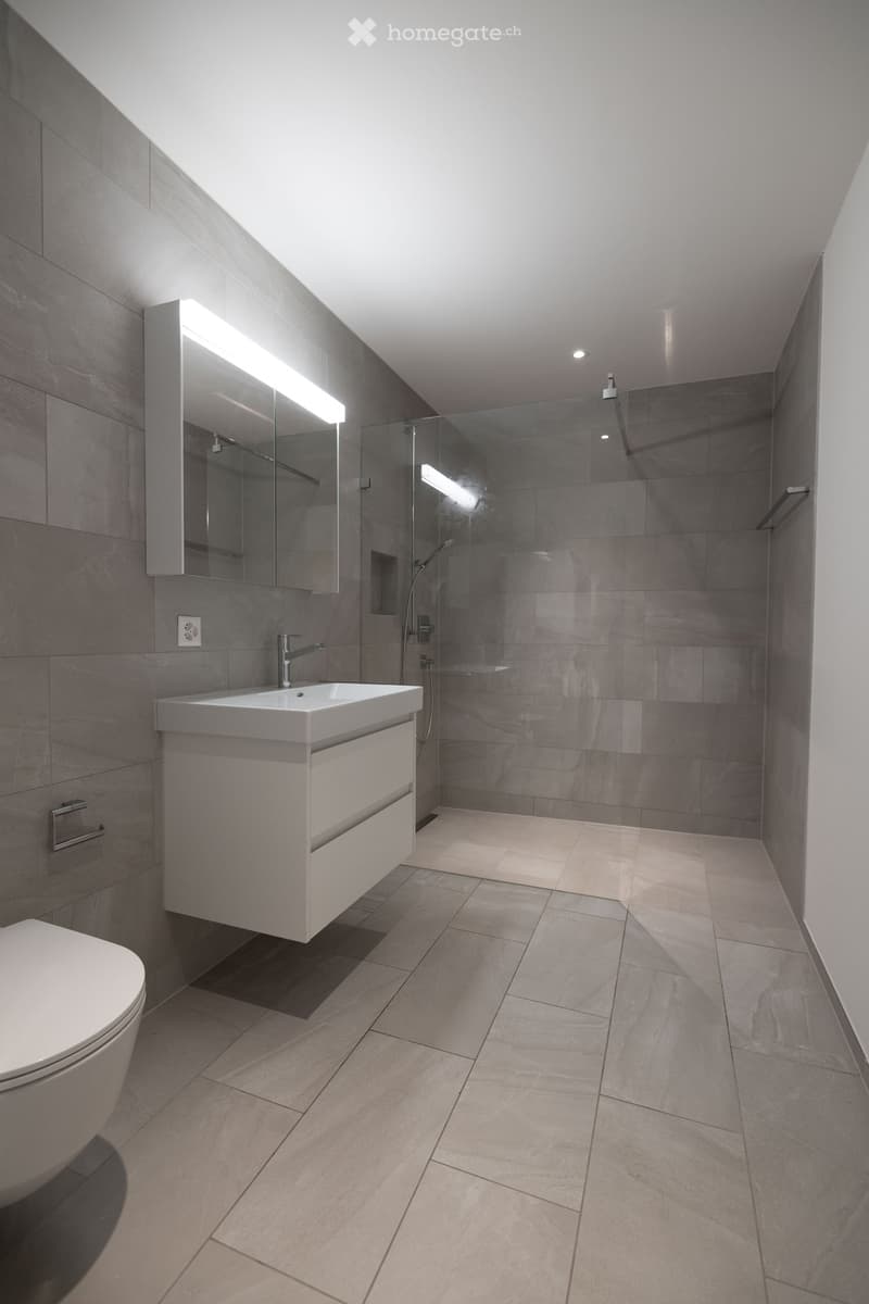 Modern bathroom with grey tiles, a white sink, a toilet, a large mirror, and a glass-enclosed shower area.