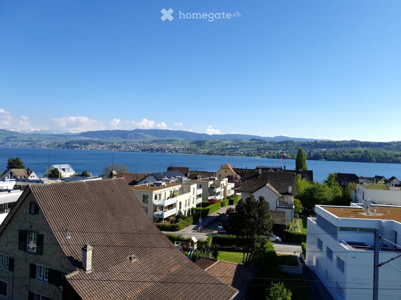 Aerial view of a residential area with houses, trees, and a lake in the background, surrounded by mountains.