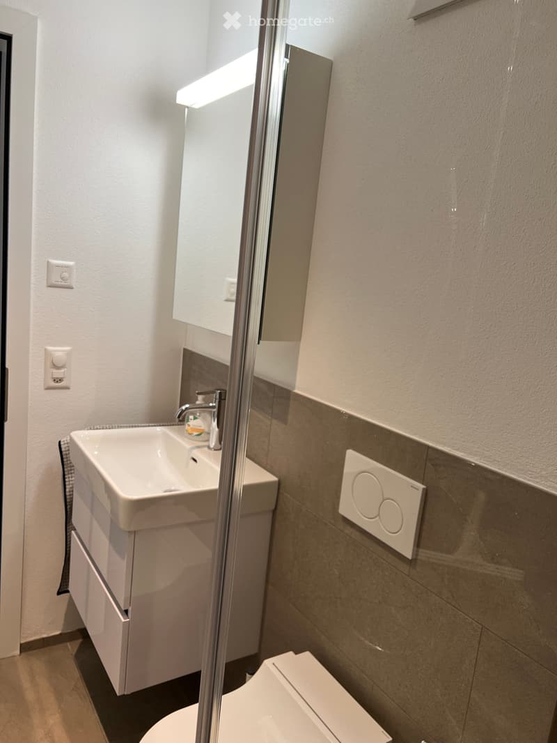 Modern bathroom with a white sink, chrome faucet, mirror, and toilet. Features a glass shower enclosure and tiled walls.