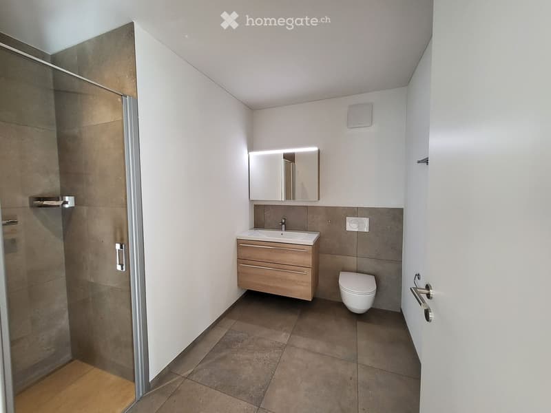 Modern bathroom with a wooden vanity, white sink, toilet, and a large mirror above the sink. The shower area is visible on the left with a glass door.