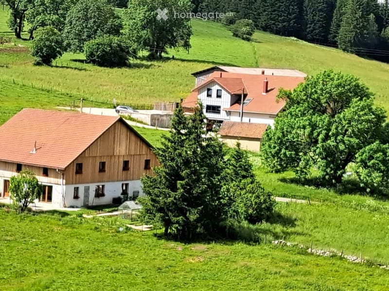 A rural house with a red-tiled roof, surrounded by lush green fields and trees. The house features a mix of wooden and white walls, with multiple windows and a chimney. A small outbuilding and a parked car are visible nearby.