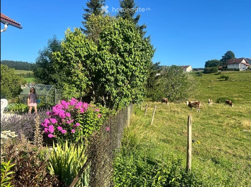 A lush garden area with a variety of plants and flowers, including lavender and pink blooms. A fenced area with cows grazing in the background, surrounded by trees and a clear blue sky.