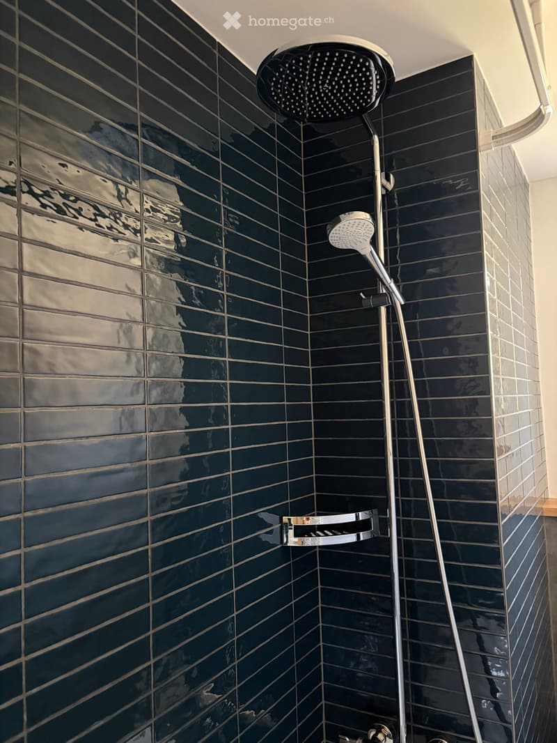 Modern shower area with dark blue tiles and a sleek, multi-head shower system.