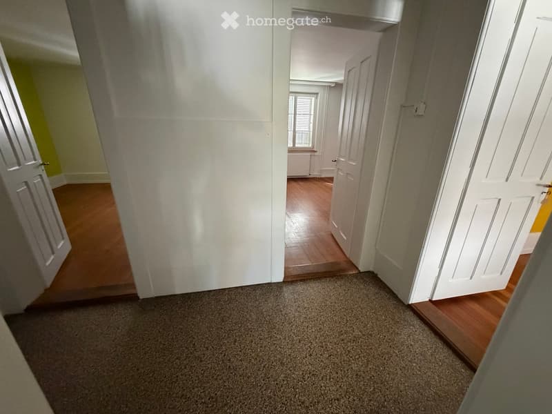 Carpeted hallway with wooden flooring visible in adjacent rooms, white walls, and multiple doors leading to other spaces.