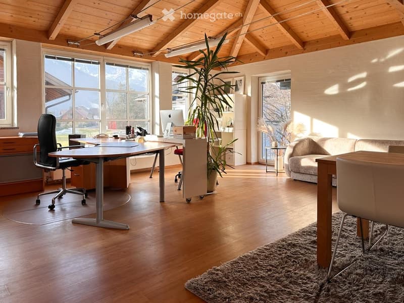 Bright, open-plan room with wooden floors, large windows, a sofa, a desk with a laptop, and a tall plant.