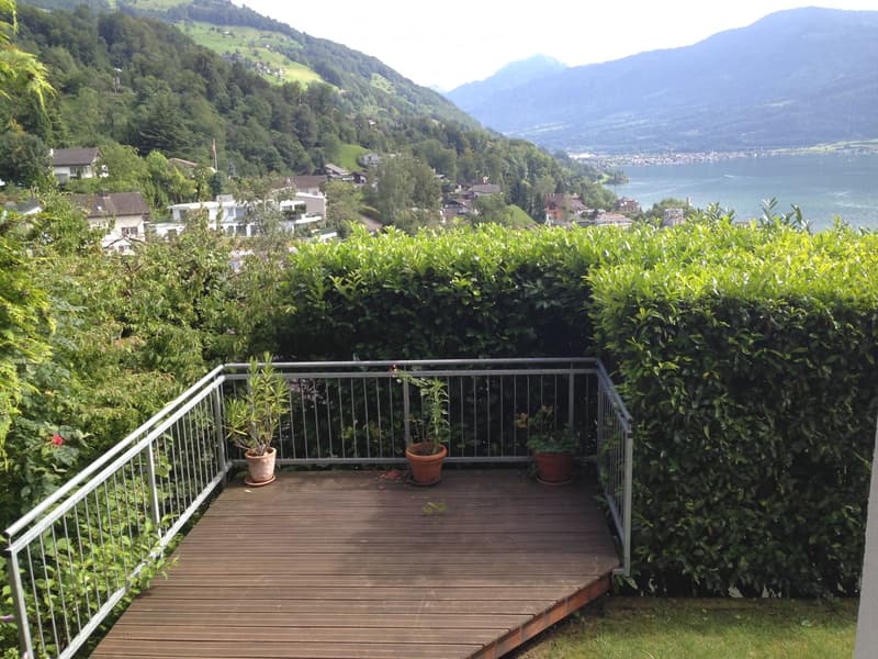 Wooden balcony with metal railing, potted plants, and scenic mountain and lake view.