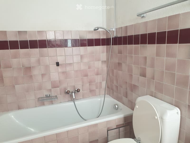 Bathroom with a bathtub, toilet, and showerhead, featuring pink and maroon tiled walls.