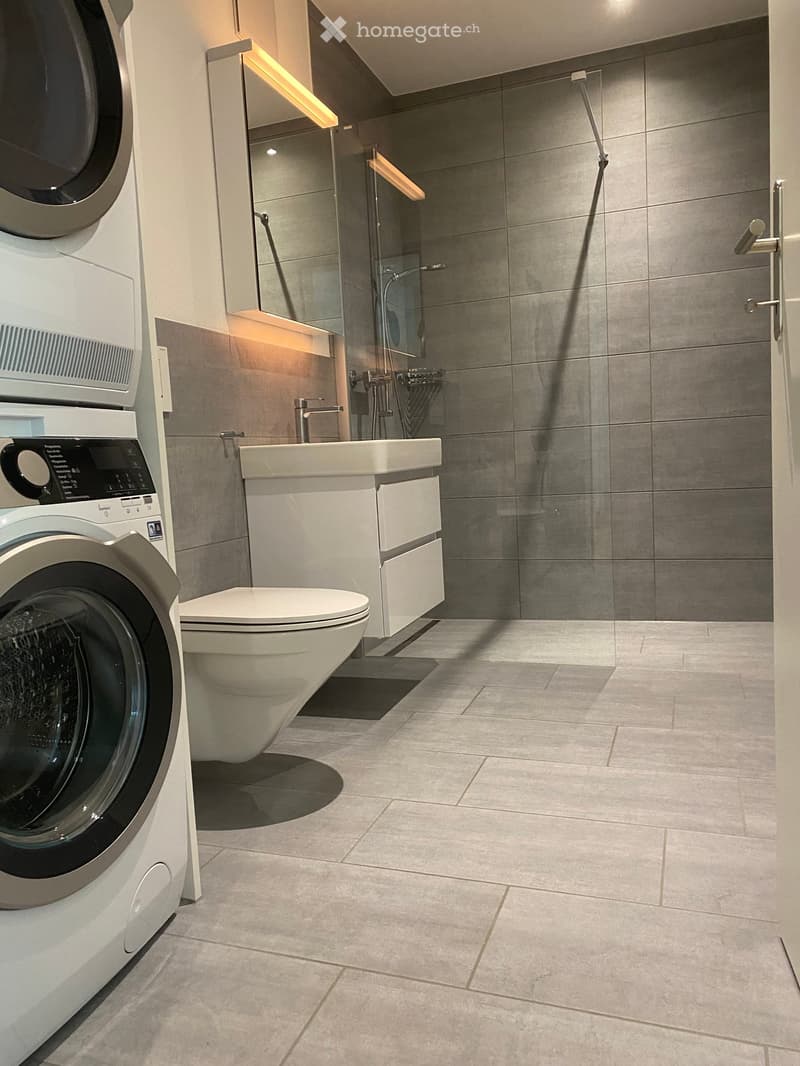 Modern bathroom with a toilet, sink, mirror, shower, and washing machine. Features grey tiles and a sleek design.