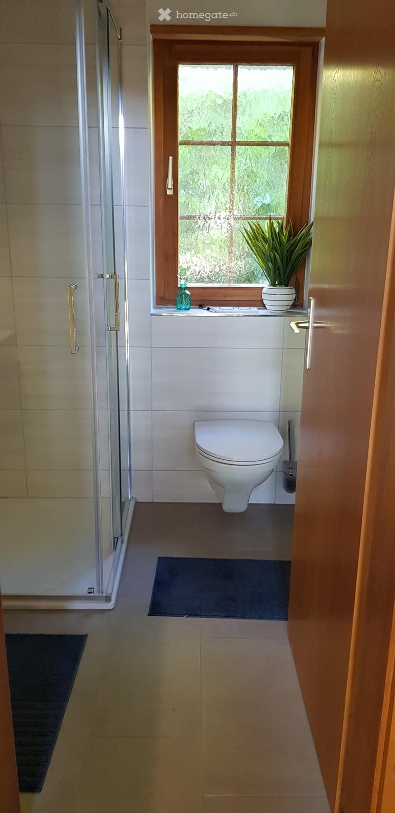 Modern bathroom with a toilet, shower, and a small window with a plant on the sill.