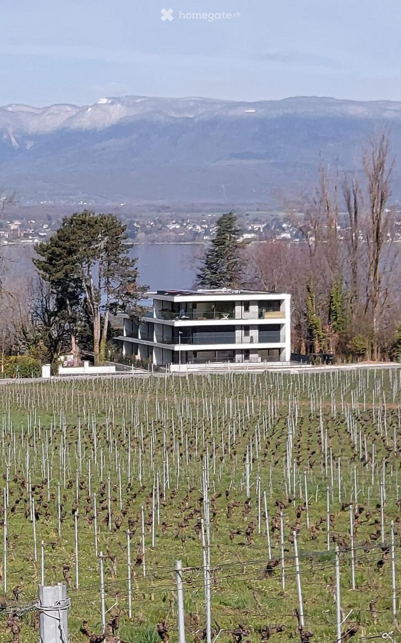 Modern two-story house with large windows and a balcony, situated in a vineyard with a scenic lake and mountain view in the background.