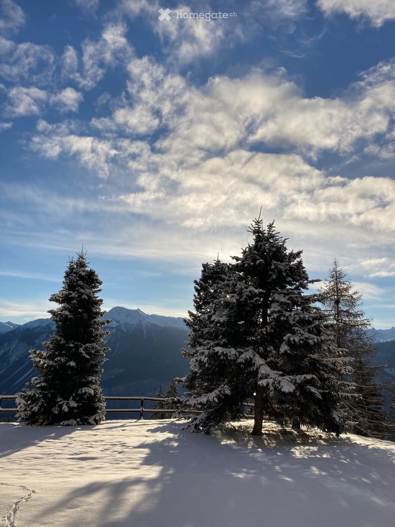 Snow-covered outdoor area with pine trees and a wooden fence, overlooking a mountain range under a partly cloudy sky.