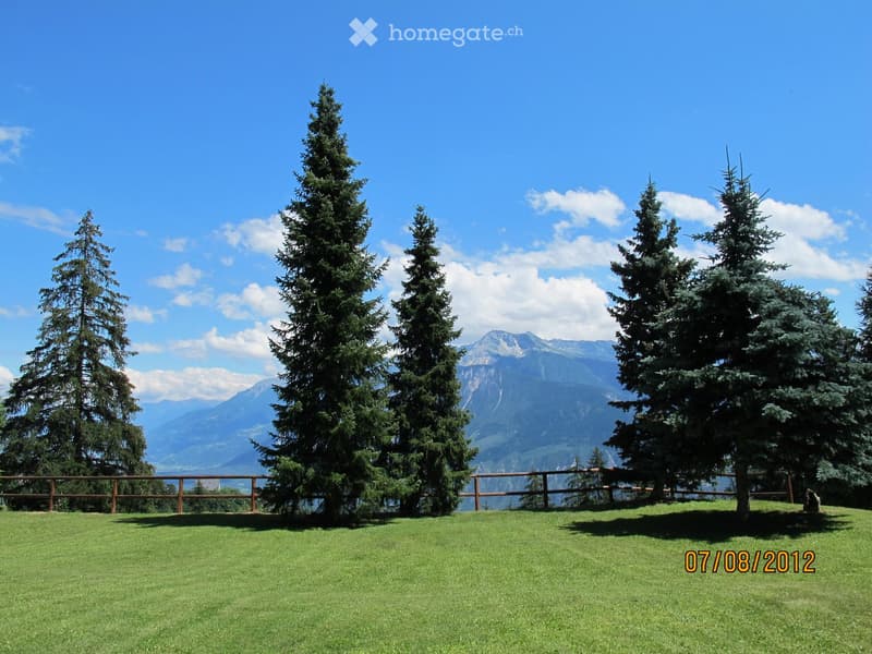 A well-maintained lawn with several tall evergreen trees, a wooden fence, and a scenic mountain view in the background.