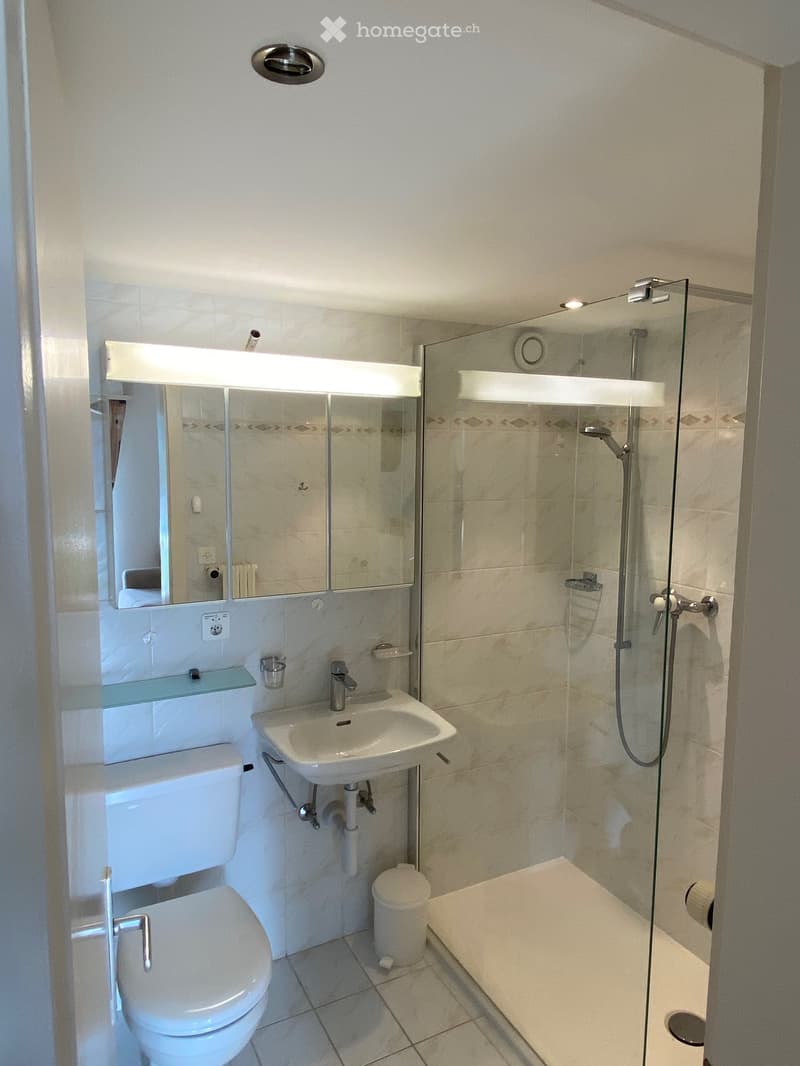 Modern bathroom with a toilet, sink, mirror, and glass-enclosed shower. Features include a built-in shelf above the sink and a small trash bin.