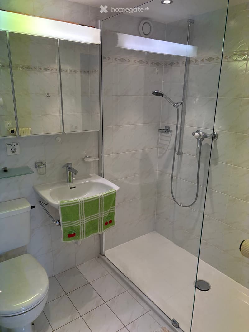 Modern bathroom with white tiles, a glass-enclosed shower, a toilet, a sink with a green towel, and a mirror cabinet.