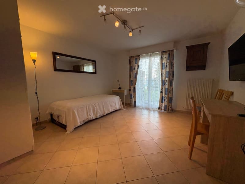 A furnished room with a bed, a small table, chairs, a mirror, a floor lamp, curtains, a radiator, and a television.