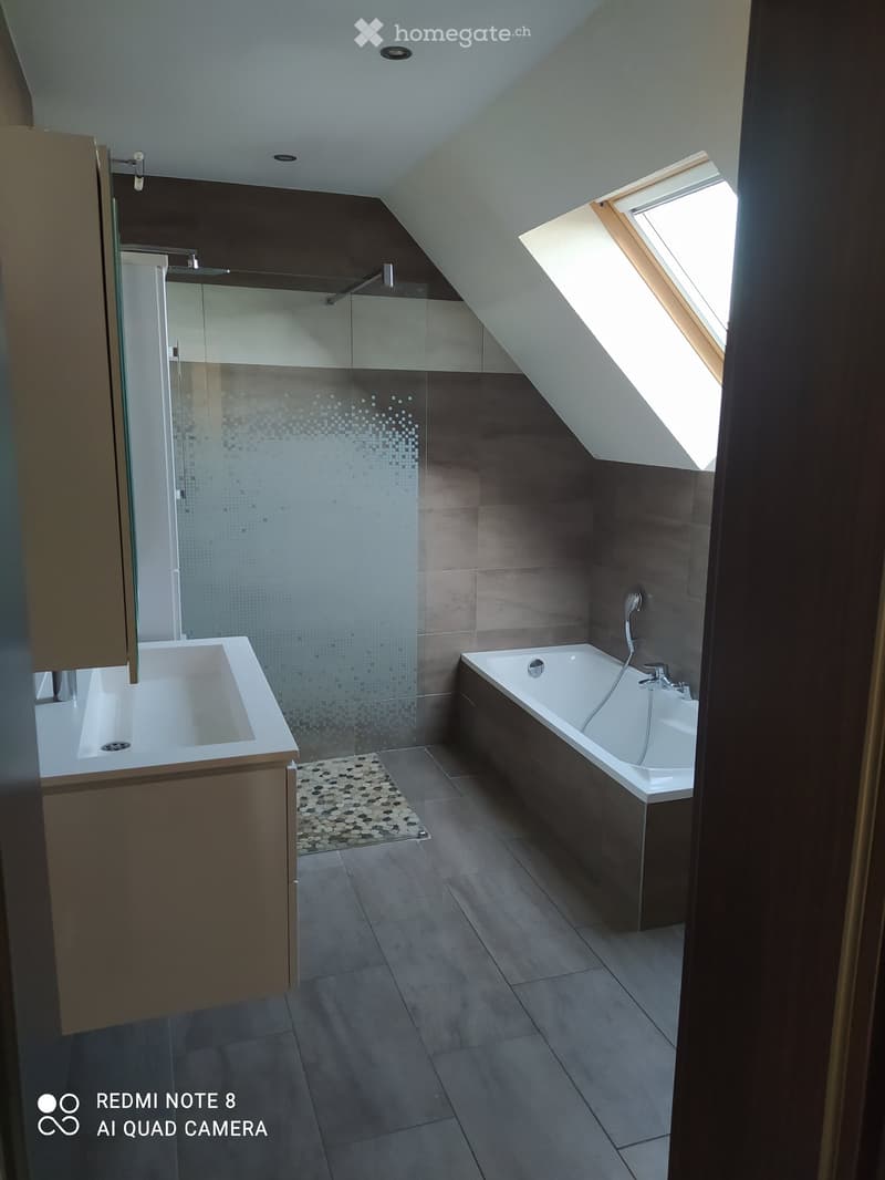 Modern bathroom with a bathtub, sink, and glass-enclosed shower. Features dark tiles, a skylight window, and a small decorative rug.