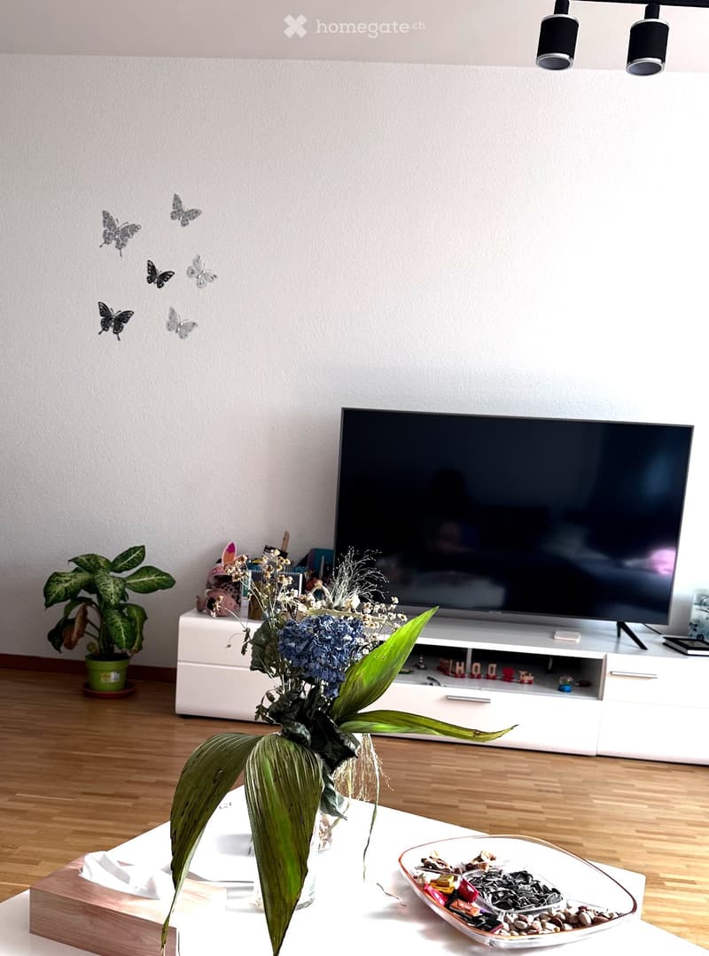 Modern living room with a large flat-screen TV on a white cabinet, a wooden coffee table with a flower arrangement, a bowl of decorative items, and a potted plant. The walls are decorated with butterfly decals.