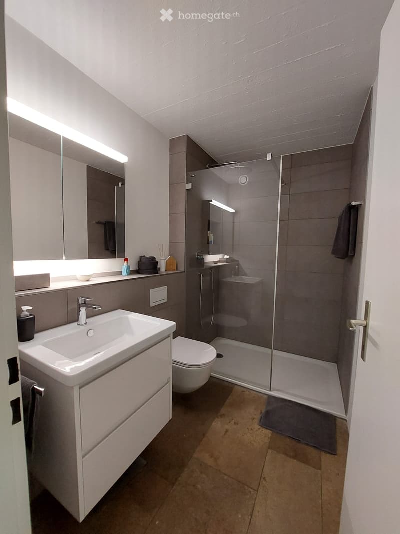 Modern bathroom with a white sink, toilet, glass-enclosed shower, and built-in cabinets. Features include a large mirror with integrated lighting and a sleek, contemporary design.