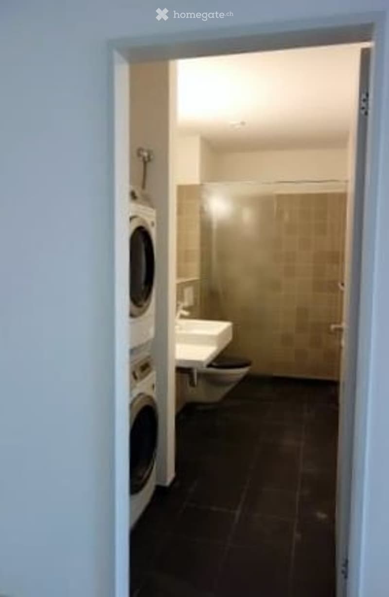 Modern bathroom with dark tiled floor, white sink, toilet, shower, and a private washing machine in the corner.