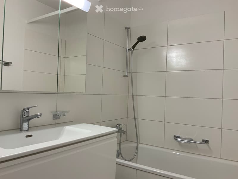 Modern bathroom with a white sink, bathtub, and showerhead. Features a large mirror and built-in cabinetry.