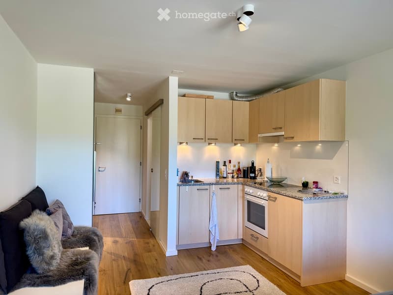 A modern, compact living space with a small kitchen area and a seating area. The kitchen features light wood cabinets, a countertop with various items, and built-in appliances. The living area includes a plush, fur-covered armchair with pillows and a smal