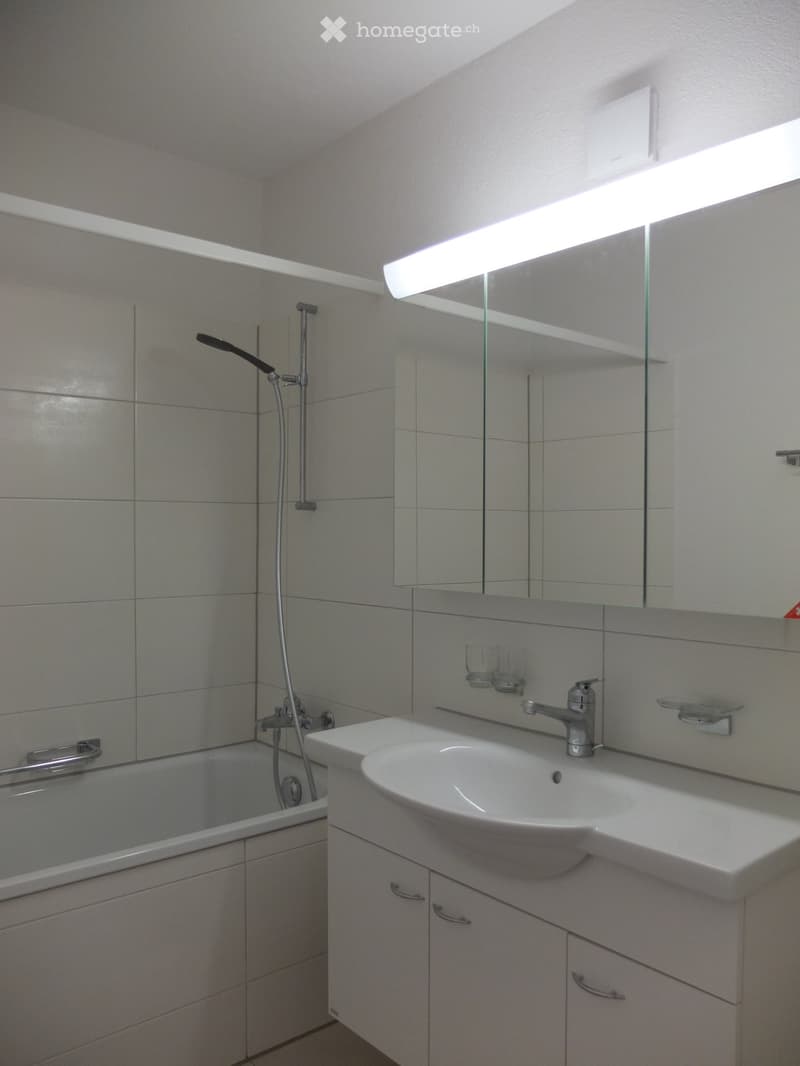 Modern bathroom with a bathtub, sink, mirror, and shower hose. The sink has a modern faucet and is placed on a white cabinet. The bathtub is adjacent to the sink, and a large mirror with built-in lighting is mounted above the sink.