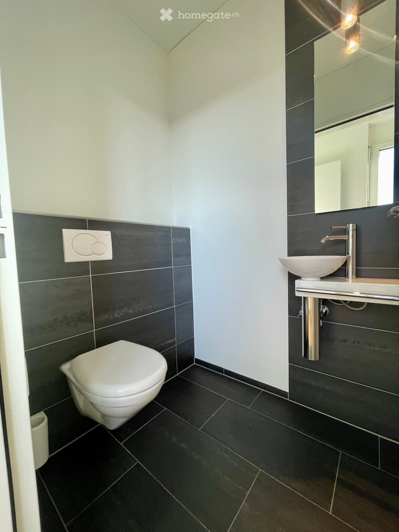 5.5-Zimmer-Maisonette-Attikawohnung im steuergünstigen Baar (11)