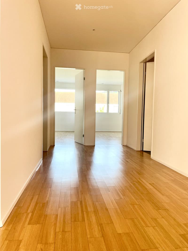 5.5-Zimmer-Maisonette-Attikawohnung im steuergünstigen Baar (8)