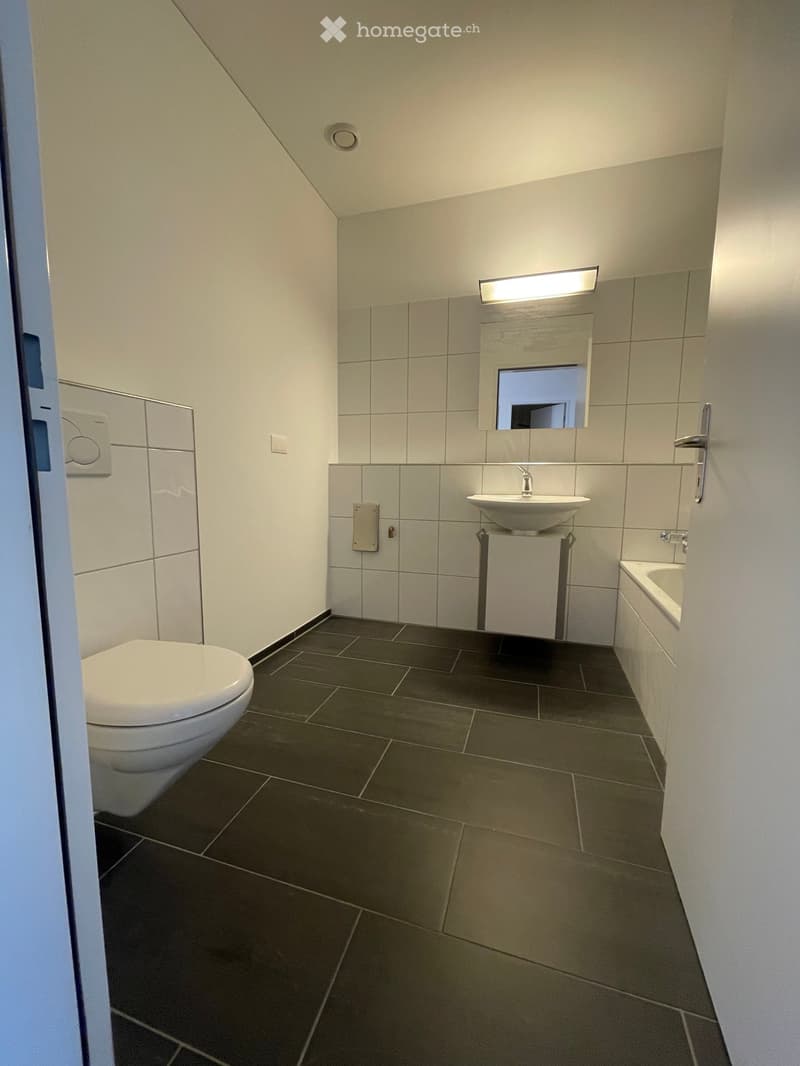 5.5-Zimmer-Maisonette-Attikawohnung im steuergünstigen Baar (9)