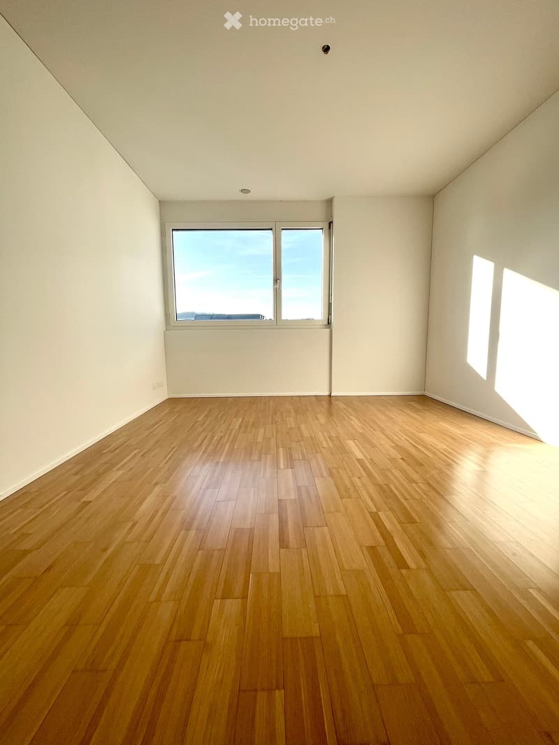 5.5-Zimmer-Maisonette-Attikawohnung im steuergünstigen Baar (7)