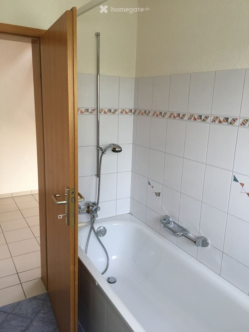 Bathroom with a white bathtub, a handheld showerhead with hose, a faucet, and a shower rack on the tiled wall.