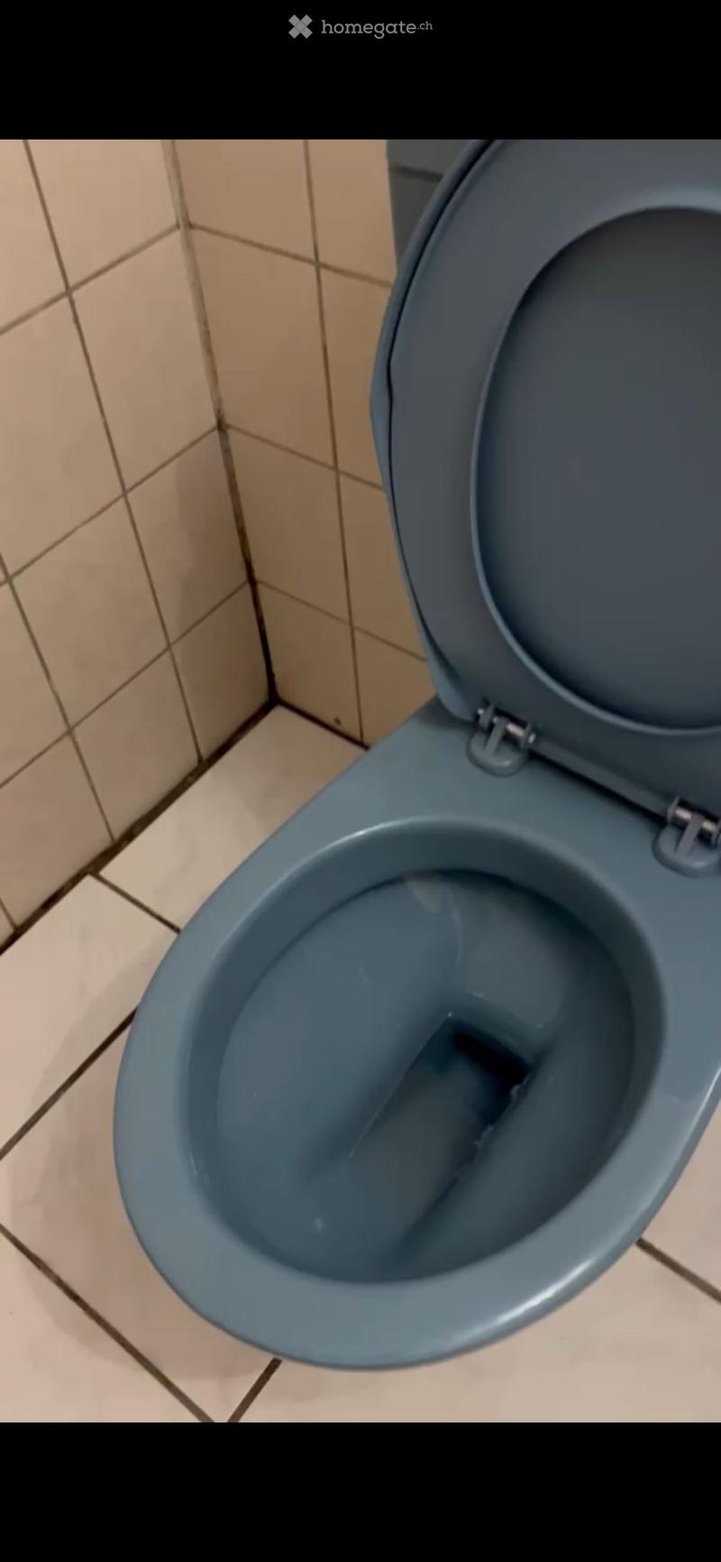 A blue toilet with the lid up, placed against tiled walls in a bathroom.