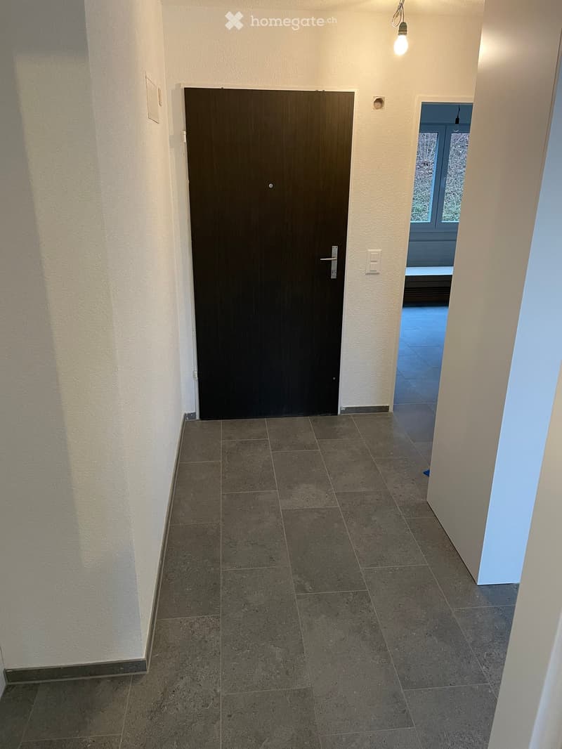 Empty hallway with tiled floor, white walls, and a closed wooden door on the left. A window at the end shows a view of the outside.
